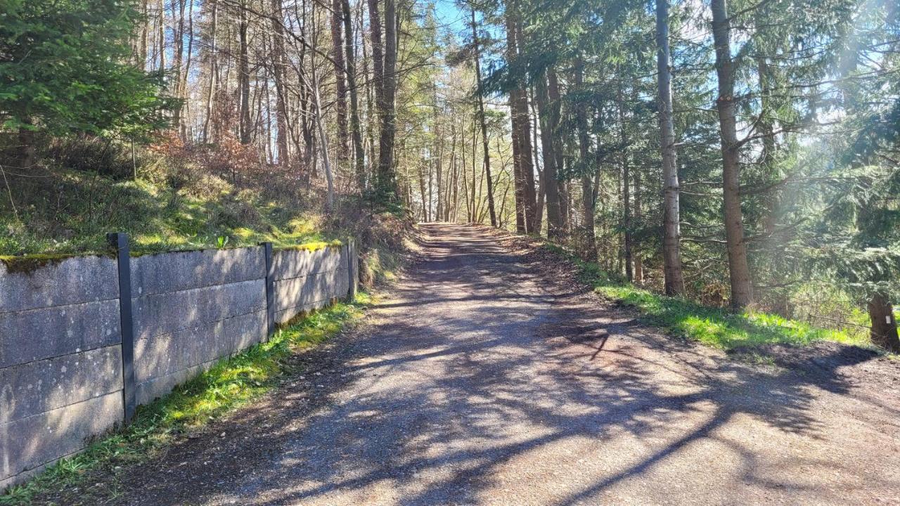 Waldpension Am Koepfchen Kurort Steinbach-Hallenberg Екстер'єр фото